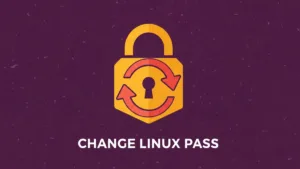 A minimal flat vector illustration of a golden padlock with a coral refresh arrow, symbolizing a password reset on a deep plum background.
