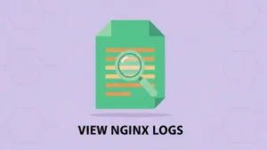 A stylized magnifying glass hovering over a green document file representing server logs. Text: VIEW NGINX LOGS.