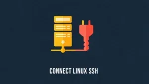 A flat vector icon of a golden yellow server tower connecting with a coral secure key plug. Text: CONNECT LINUX SSH.