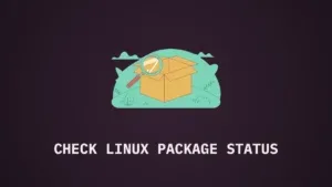 A flat orange software package box being inspected by a bright light teal magnifying glass hovering just above it. Text: CHECK LINUX PACKAGE STATUS